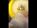 SanSongMelt-Jewelry Machine Jewelry Polishing Machine Vibratory Tumbler