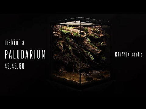 물공간이 넓은 팔루다리움 만들기!! How to make a paludarium