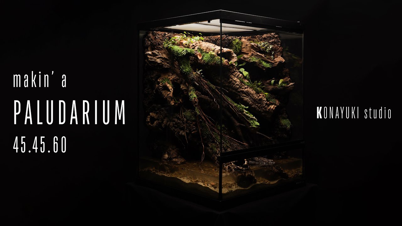물공간이 넓은 팔루다리움 만들기!! How to make a paludarium