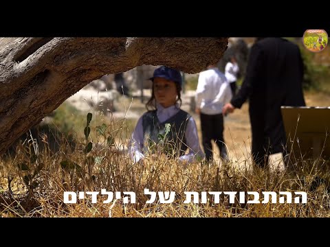 וִידֵאוֹ: איך אומרים את התפילה (עם תמונות)