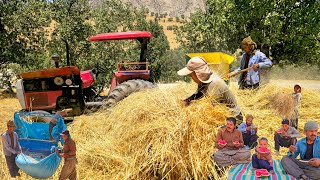 🌾 Harvesting wheat with a tractor | Zagros nomads' efforts for winter bread and fodder 🚜🏕️❤️