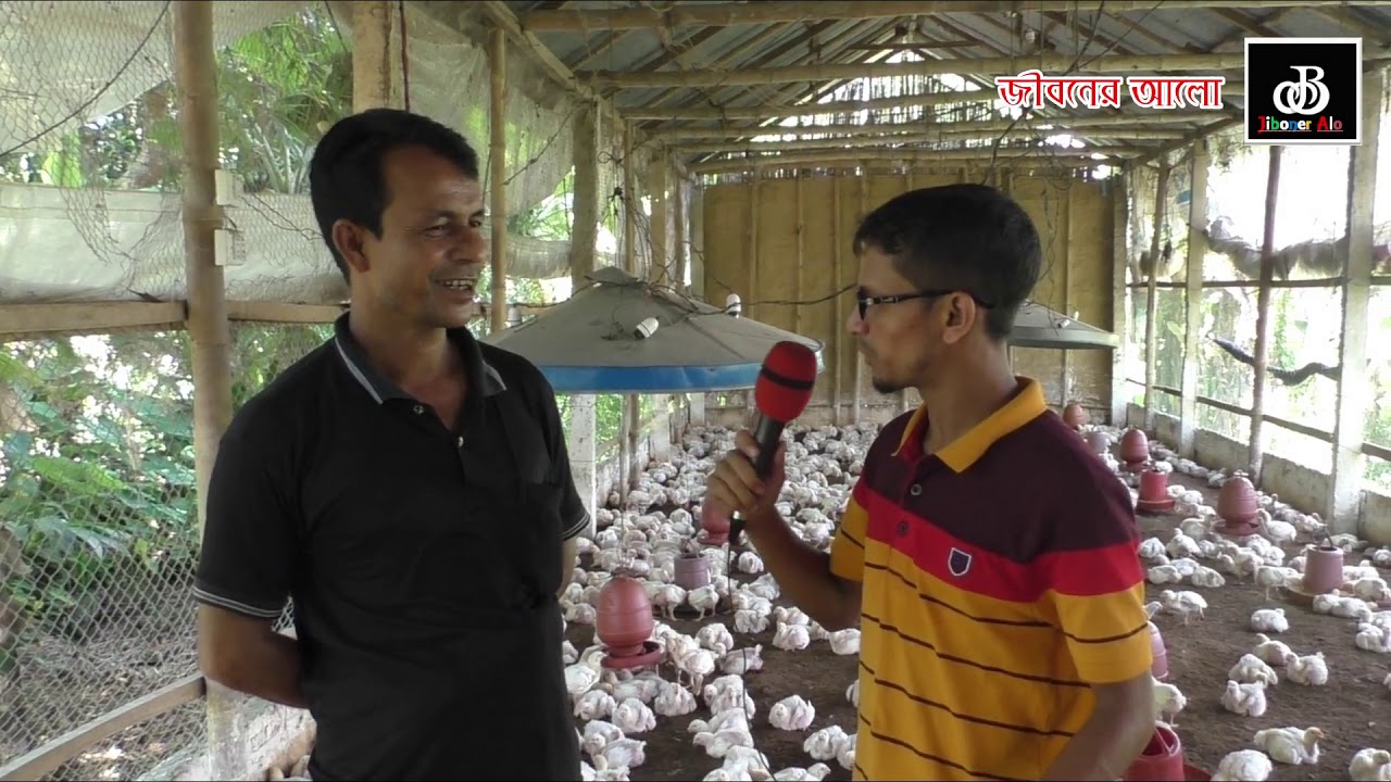 Poultry Farming in Bangladesh For Beginners Murger Kamar Folty Farm