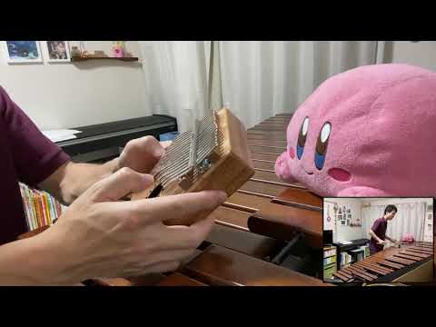 【カリンバ演奏】Summer / 久石譲【マリンバ伴奏】