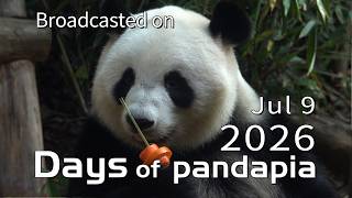 20260709 Broadcast Top Highlights 05