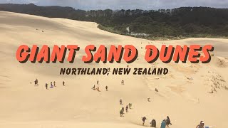 Giant Sand Dunes | Northland, New Zealand