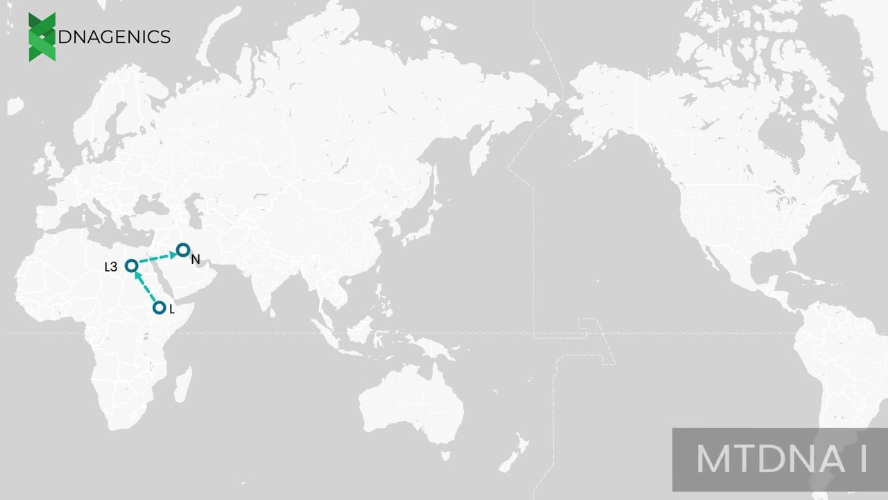 MTDNA I - DNAGENICS