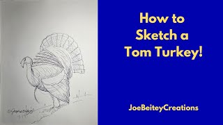 How to Sketch a Tom Turkey!