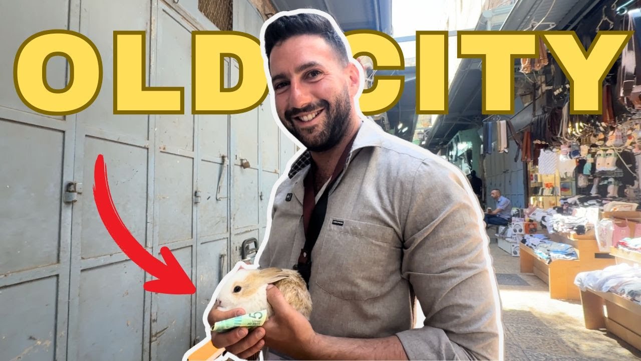 😱🐰Israeli Tour Guide 