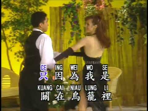 【鑽石舞曲精選】我是一隻畫眉鳥 (高清LD版)