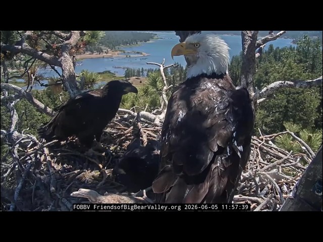 6-5-2026 Branching Out on Fishstick Friday - YouTube