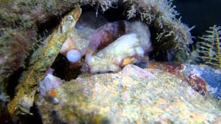 Day and Night Under the Bridge Wealth