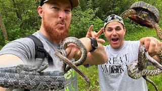 Day of Prairie King snakes. Herping and flipping in Central Illinois. by Nature In Your Face 296 views 5 days ago 12 minutes, 15 seconds