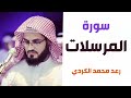 سورة المرسلات القارئ رعد الكردي