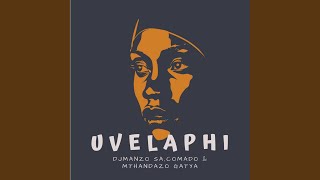 Uvelaphi