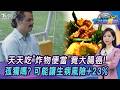 外食族小心...天天吃「炸物便當」竟大腸癌! 孤獨嗎? 可能讓生病風險+23% 20260722｜主播#張蕙纖 ｜T台消費線 PODCAST｜TVBS新聞 @TVBSNEWS01
