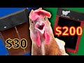 $30 vs $200 Automatic Chicken Coop Door