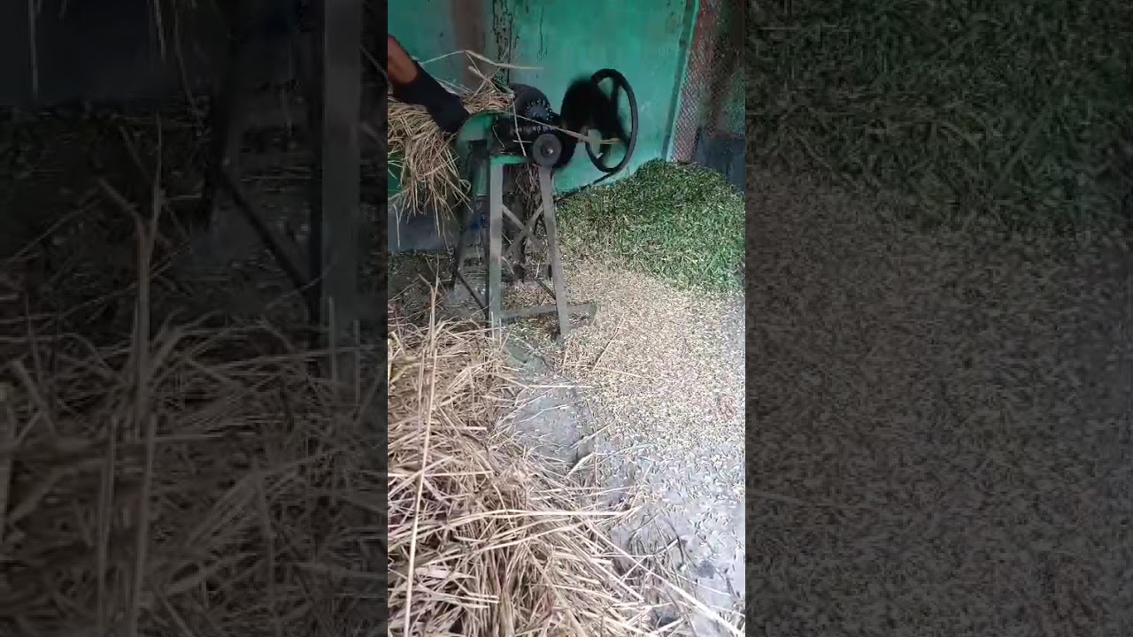 Cow Straw Cutting Machine