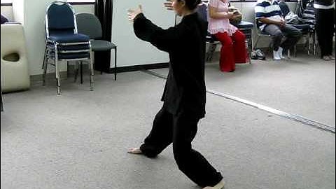 Chen Style-Dr. Hu II