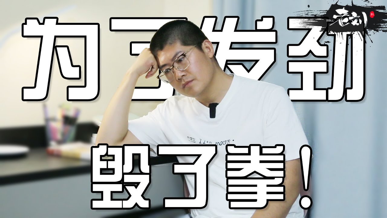 我曾经为了“发劲”毁了一整套拳！丨CC字幕