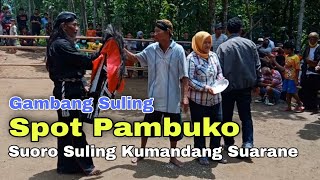 Pambuko Sport Gambang Suling | Suoro Suling Kumandang Suarane | Jathilan Kreasi Lestari Budoyo