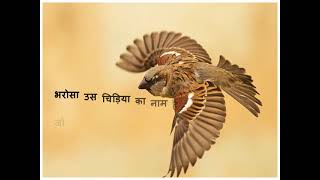 भरस Whatsapp Status By Shree Desai