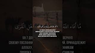 Сура 59я (6-8) Аль-Хашр. Асхат Гиматдинов