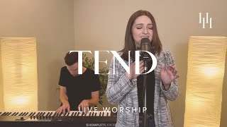 Tend - Bethel Music (Live Worship) || Holly Halliwell