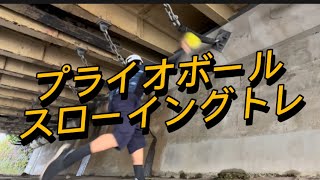 Driveline PlyoCare ball プライオボール スローイング トレーニング 9days driveline training 壁当てドリル 野球 baseball