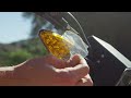 UBCO E-bike unboxing!