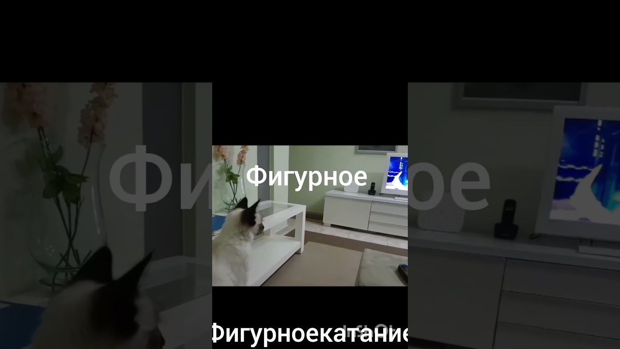 Кити смотрит телевизор.Часть 1