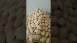 Small Hut Using Waste Material