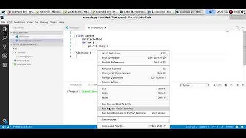 Python Static Method (OOP)
