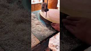 Cutting round wood slab with vertical bandsaw machine