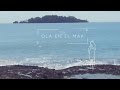Debi Nova - Como Ola En El Mar (Lyric Video)