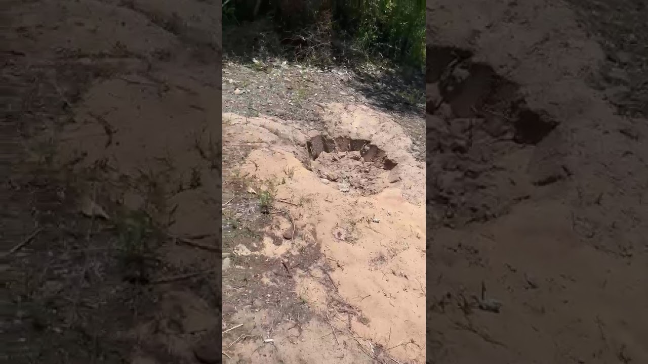 🌍💧 Quando a solidariedade faz brotar água no deserto!