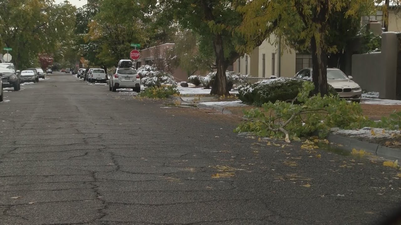 Winter storm causes power outages, downed trees in Albuquerque - YouTube