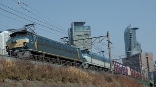 3091レ EF66-21(ゼロロク)+EF66-124重連牽引貨物列車 ささしまライブ駅付近
