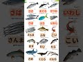 Fish Name in Japanese #8 #japaneselanguage #jlptlistening #abjafri