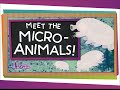 Meet the Microanimals!
