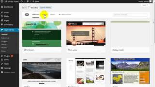 Wordpress Vantage Theme Customization full