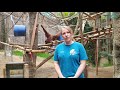 Orang-Utan-Kind &quot;Bayu&quot; im Zoo Rostock