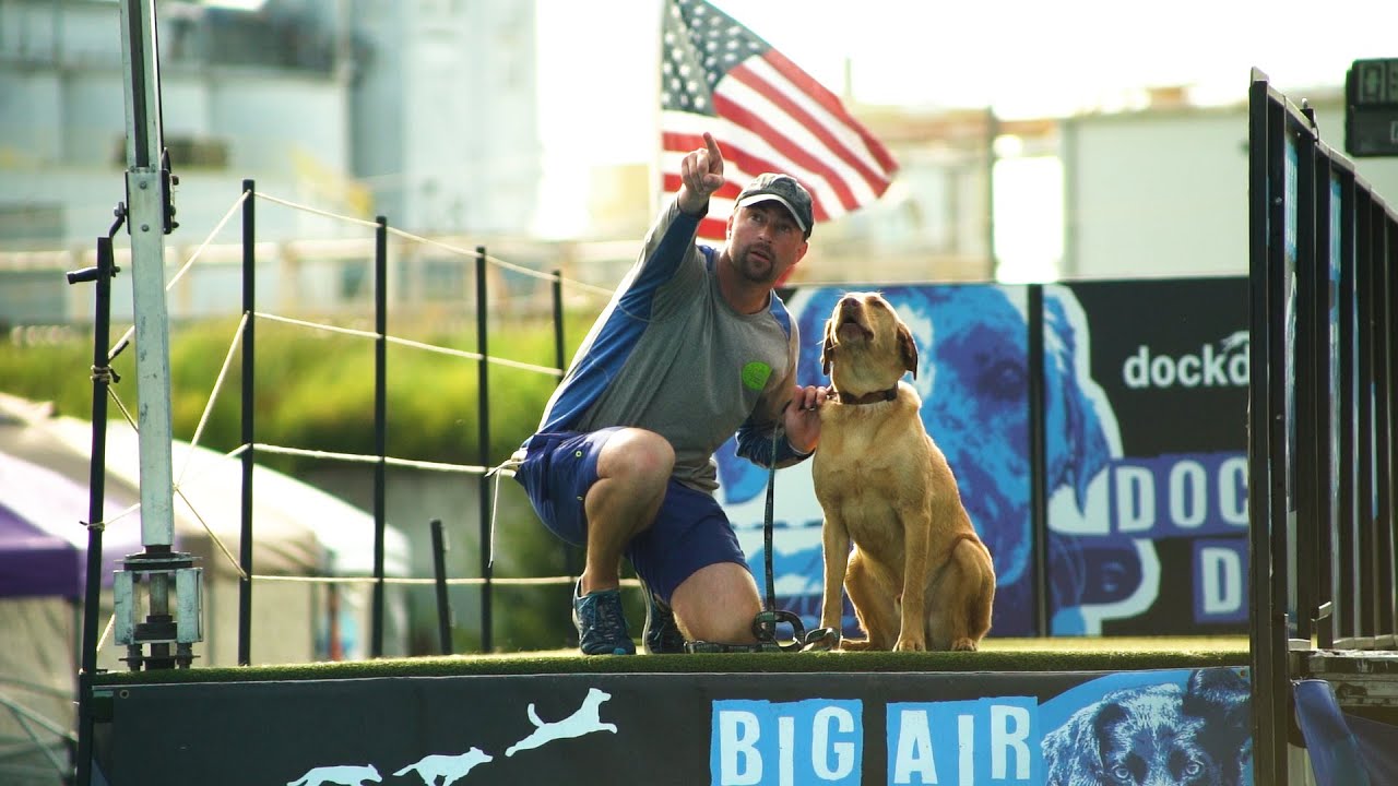 Big Air: Team Silver Roosters - Unleashed