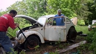 Craigslist 1965 Volkswagen Sunroof Beetle