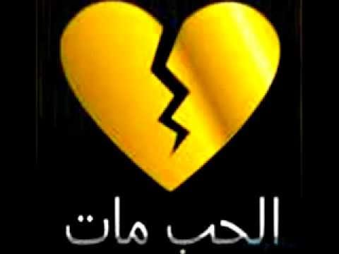 تامر ظاهر طير صغير