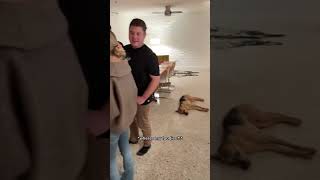 Rescue Puppy Hosts A Holiday Party