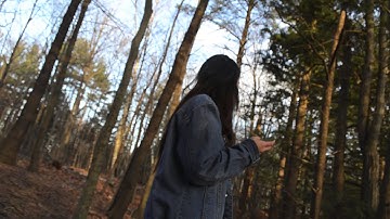 Forensic Scientist-Math ISU video