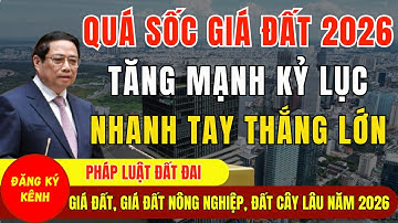 QUÁ SỐC 2026: Xu Hướng Giá Đất, Giá Đất Nông Nghiệp, Giá Đất Trồng Cây Lâu Năm Năm 2026 TĂNG MẠNH