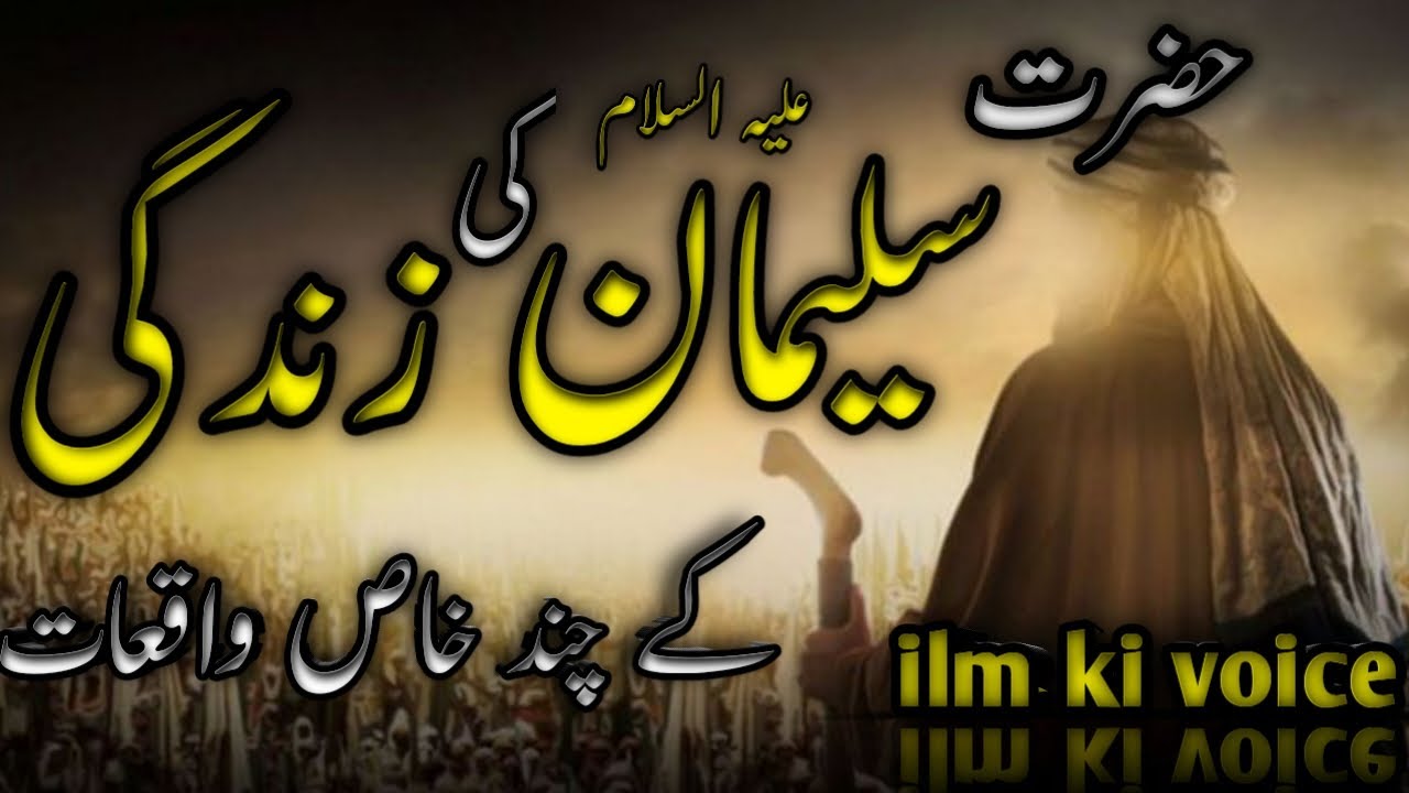 Hazrat sulaiman (A.S) ka waqia LIVE⭕ ilm ki voice