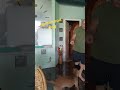 good dog PANDA