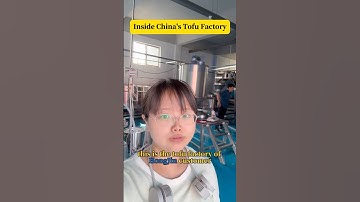 Tofu production process #foodmachine #tofumachine #grinder #factory #tofu #soybeans #fyp